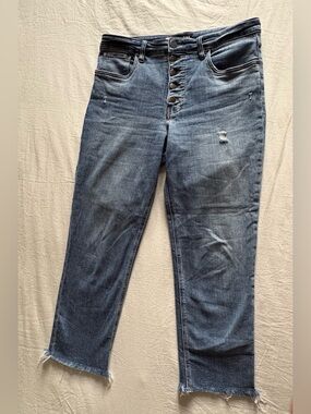 KUT from the Kloth High Rise Button Fly Straight Jeans – Raw Hem – Size 12